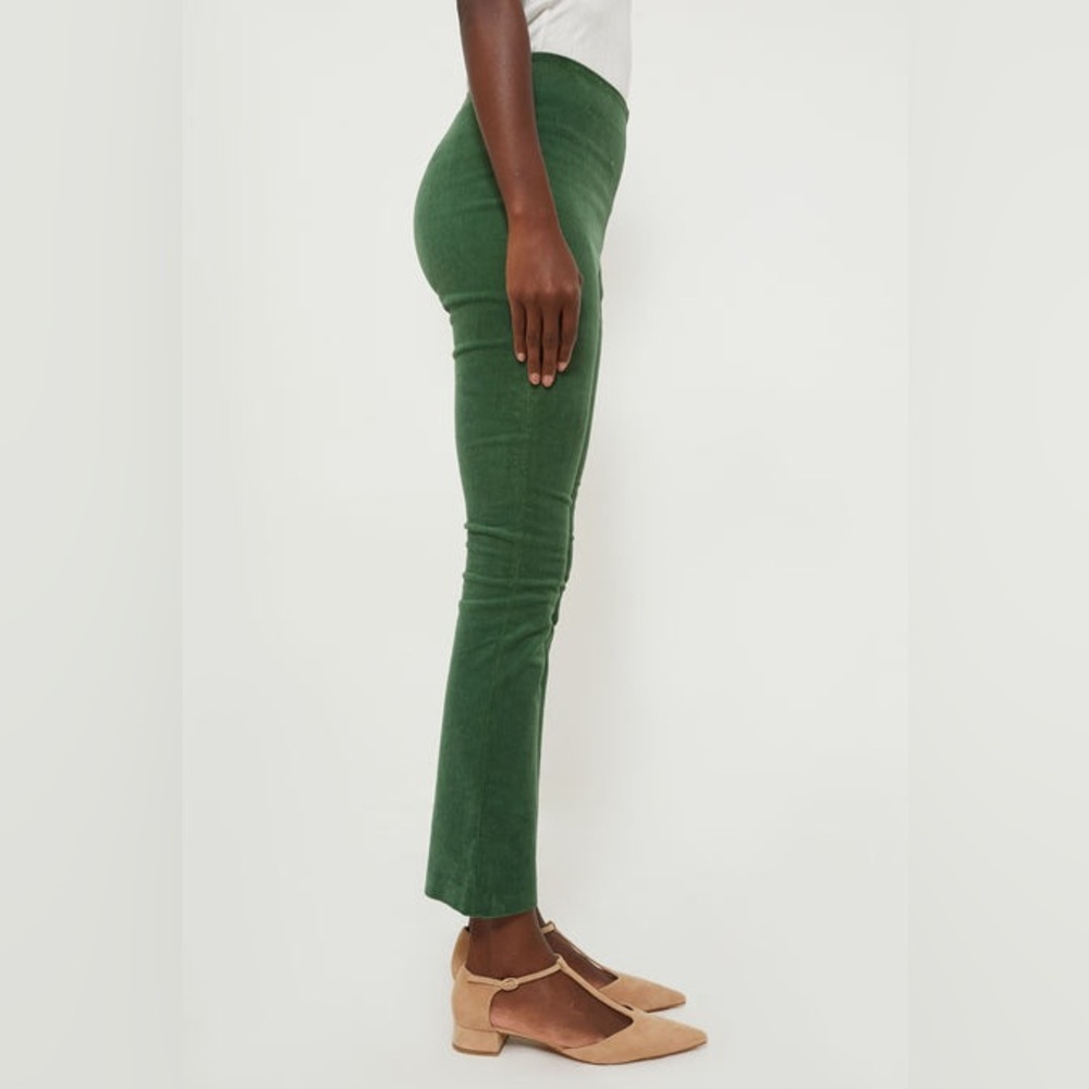 Tuckernuck Forest Green Cropped Pants - Picture 3 of 16